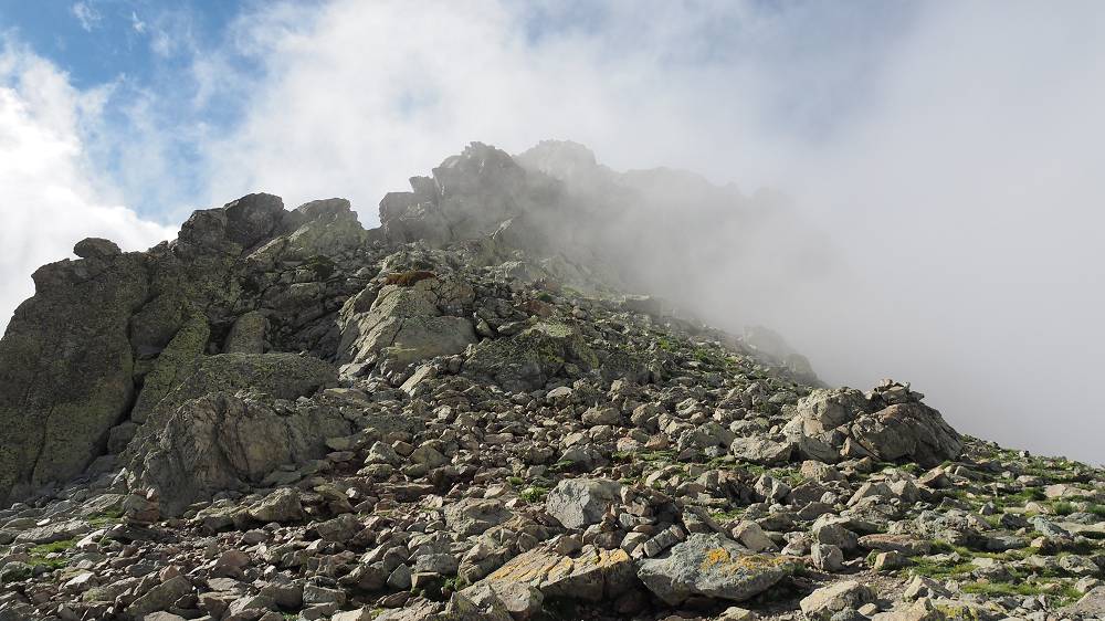 Foto: Datzi / Wandertour / In 17 Tage Korsika entdecken (Tour 4) Rundtour über den Monte D Oro (2389m) / Der Anstieg zum Gipfel war noch im Nebel gehüllt. Ganz kurz gab er immer wieder die Sicht frei / 03.08.2015 18:56:18