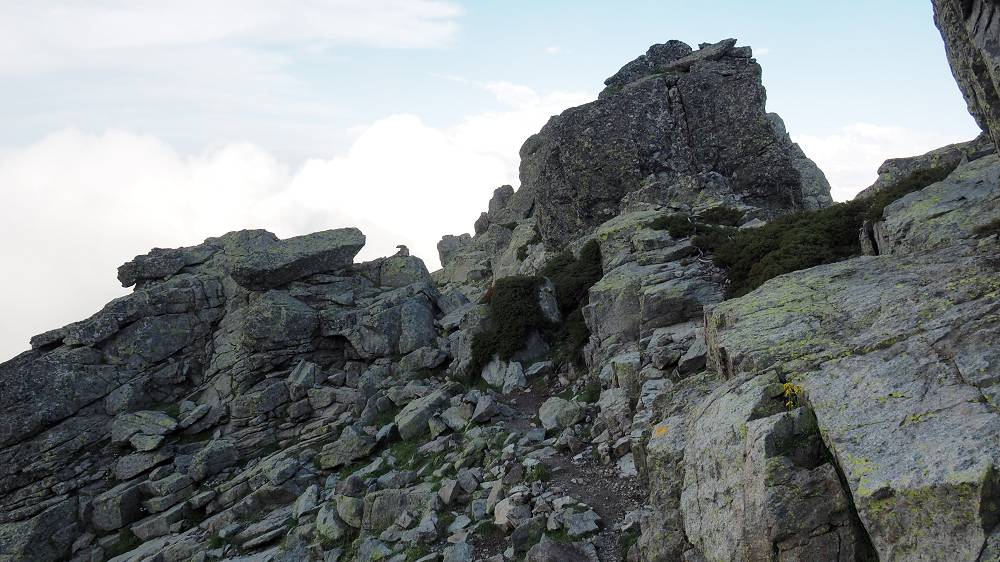 Foto: Datzi / Wandertour / In 17 Tage Korsika entdecken (Tour 4) Rundtour über den Monte D Oro (2389m) / Der Abstieg entlang des Grates / 03.08.2015 19:01:25