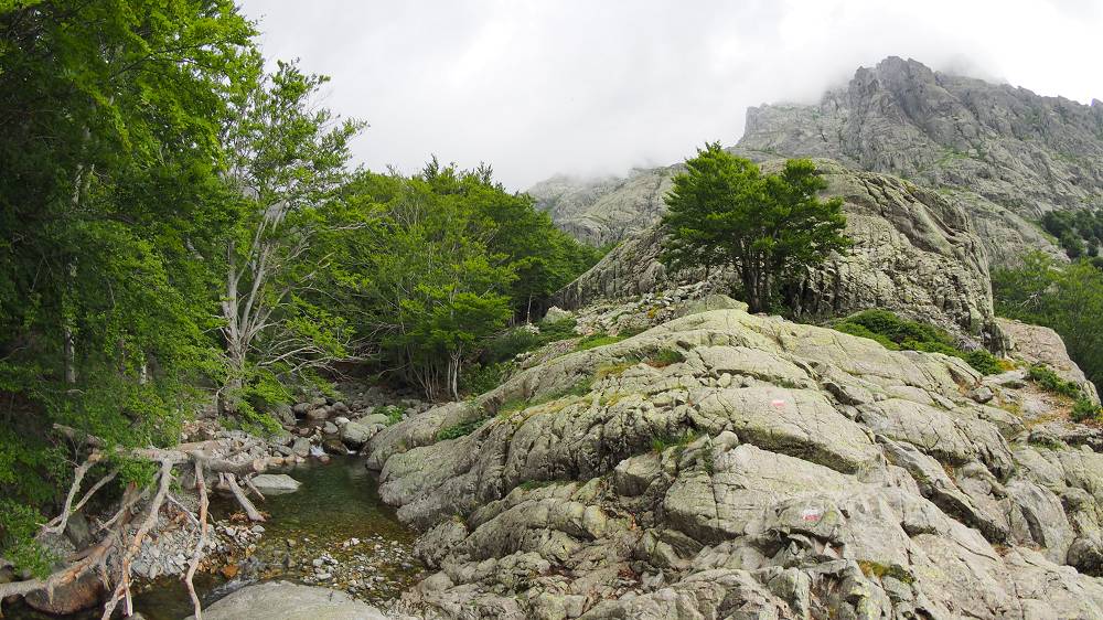 Foto: Datzi / Wandertour / In 17 Tage Korsika entdecken (Tour 4) Rundtour über den Monte D Oro (2389m) / 03.08.2015 19:02:38