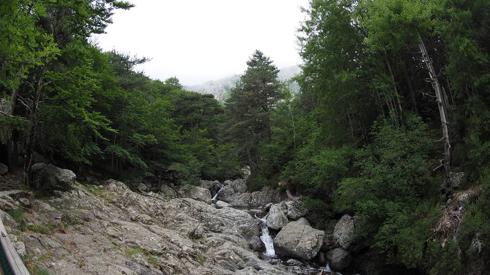Foto: Datzi / Wandertour / In 17 Tage Korsika entdecken (Tour 4) Rundtour über den Monte D Oro (2389m) / Der Abstieg entlang des GR20 Weges zurück zum Parkplatz / 03.08.2015 19:05:07