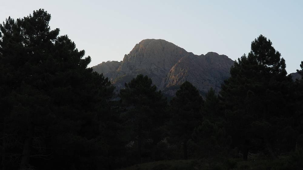 Foto: Datzi / Wandertour / In 17 Tage Korsika entdecken (Tour 5) Rundtour zum Capo D Ortu (1294m) und Capu Di U Vitullu (1331m) / 03.08.2015 21:28:01