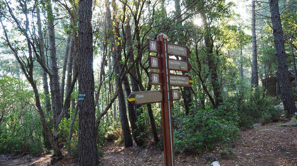 Foto: Datzi / Wandertour / In 17 Tage Korsika entdecken (Tour 5) Rundtour zum Capo D Ortu (1294m) und Capu Di U Vitullu (1331m) / Immer gut markiert / 03.08.2015 21:30:47