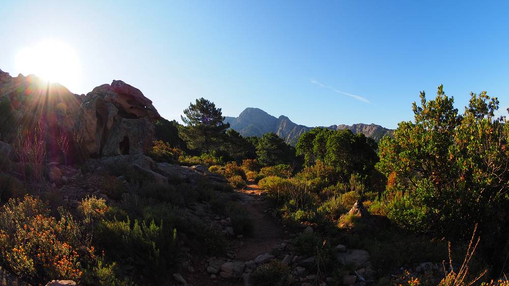 Foto: Datzi / Wandertour / In 17 Tage Korsika entdecken (Tour 5) Rundtour zum Capo D Ortu (1294m) und Capu Di U Vitullu (1331m) / Der Weg ist gut markiert und erkennbar / 03.08.2015 21:31:14