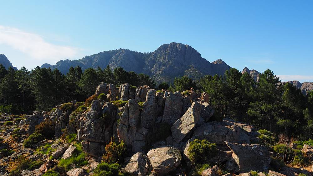 Foto: Datzi / Wandertour / In 17 Tage Korsika entdecken (Tour 5) Rundtour zum Capo D Ortu (1294m) und Capu Di U Vitullu (1331m) / 03.08.2015 21:31:31