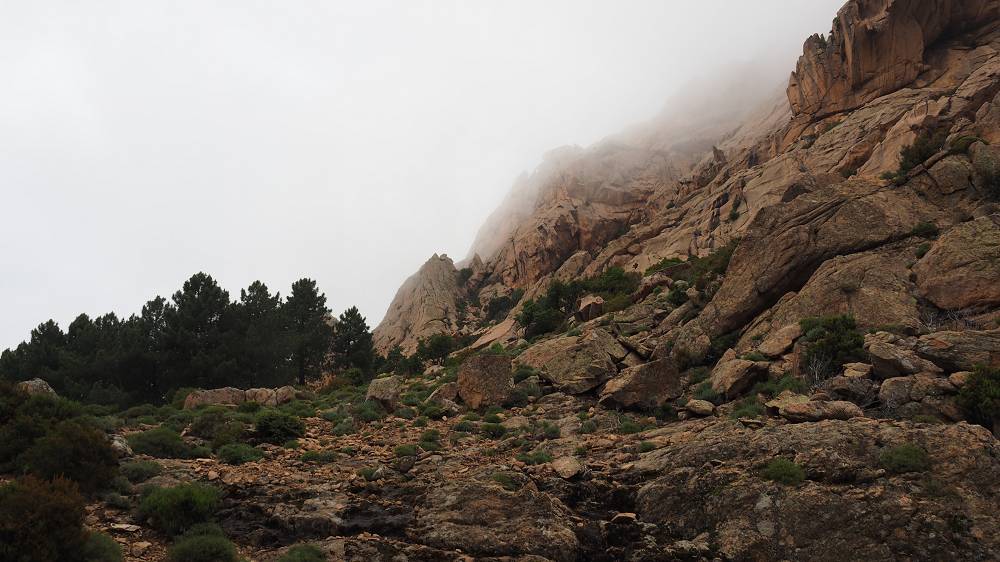 Foto: Datzi / Wandertour / In 17 Tage Korsika entdecken (Tour 5) Rundtour zum Capo D Ortu (1294m) und Capu Di U Vitullu (1331m) / 03.08.2015 21:35:21