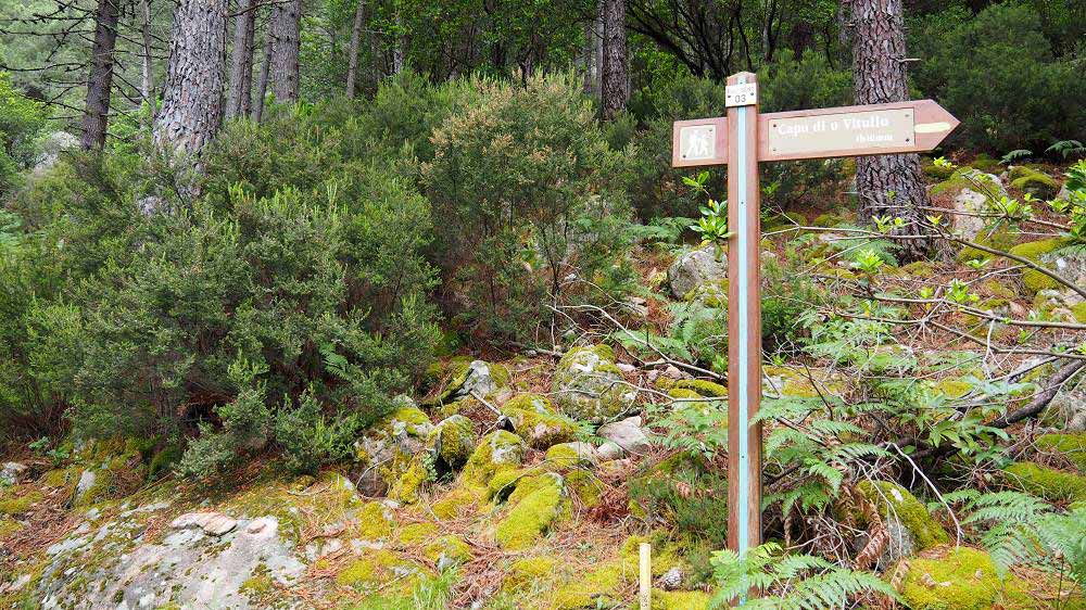 Foto: Datzi / Wandertour / In 17 Tage Korsika entdecken (Tour 5) Rundtour zum Capo D Ortu (1294m) und Capu Di U Vitullu (1331m) / Hier steigen wir zum Capu Di U Vitullu auf / 03.08.2015 21:36:24