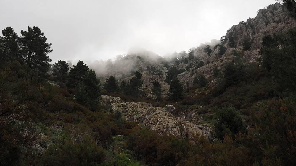 Foto: Datzi / Wandertour / In 17 Tage Korsika entdecken (Tour 5) Rundtour zum Capo D Ortu (1294m) und Capu Di U Vitullu (1331m) / 03.08.2015 21:36:37