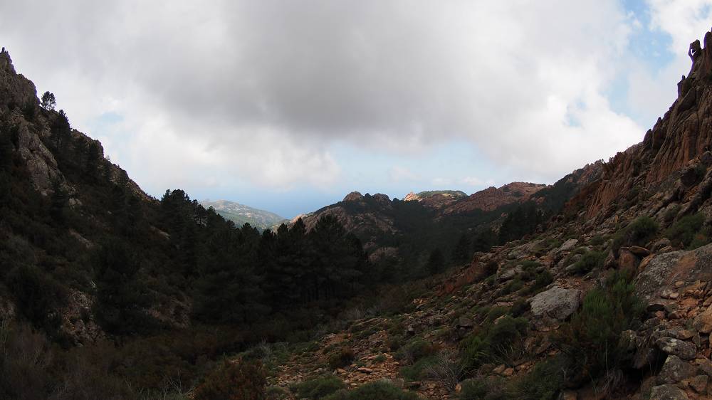 Foto: Datzi / Wandertour / In 17 Tage Korsika entdecken (Tour 5) Rundtour zum Capo D Ortu (1294m) und Capu Di U Vitullu (1331m) / 03.08.2015 21:36:42