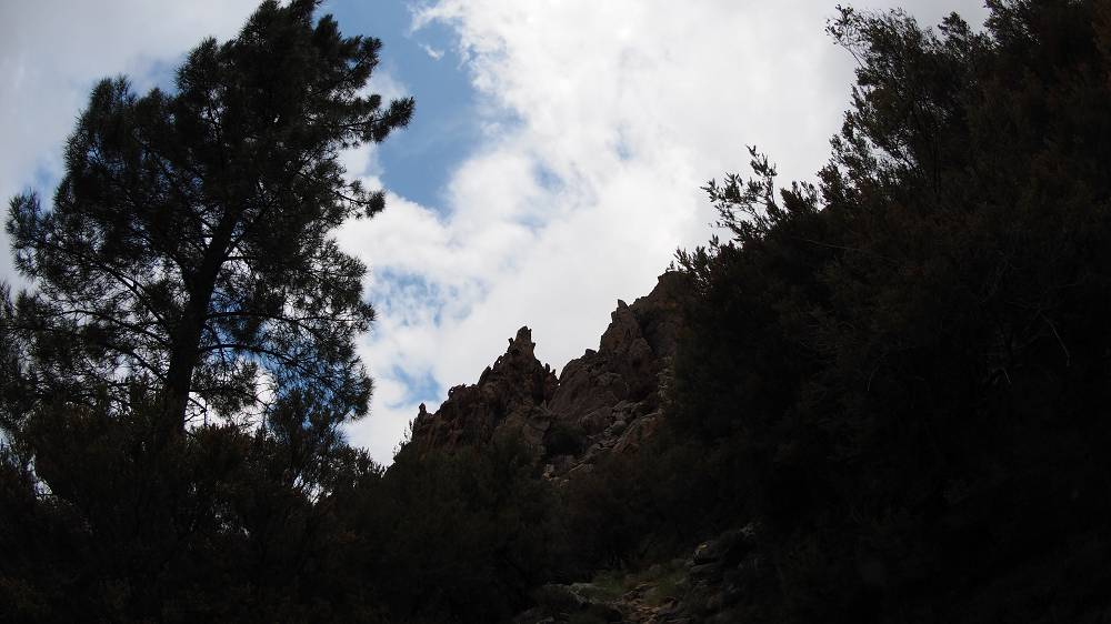 Foto: Datzi / Wandertour / In 17 Tage Korsika entdecken (Tour 5) Rundtour zum Capo D Ortu (1294m) und Capu Di U Vitullu (1331m) / 03.08.2015 21:36:48