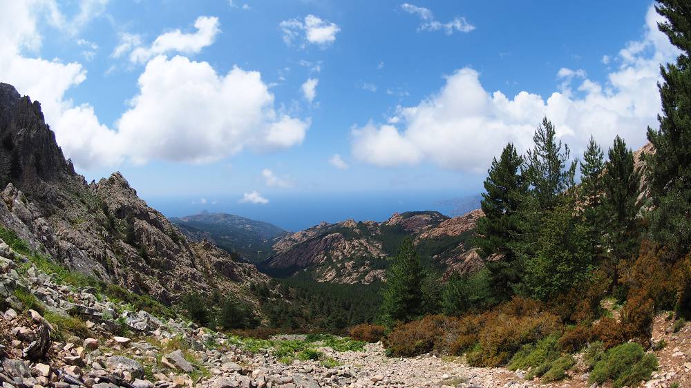 Foto: Datzi / Wandertour / In 17 Tage Korsika entdecken (Tour 5) Rundtour zum Capo D Ortu (1294m) und Capu Di U Vitullu (1331m) / 03.08.2015 21:36:55