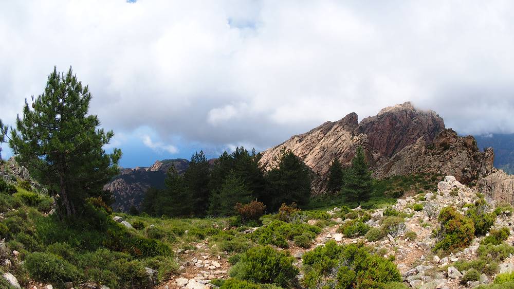 Foto: Datzi / Wandertour / In 17 Tage Korsika entdecken (Tour 5) Rundtour zum Capo D Ortu (1294m) und Capu Di U Vitullu (1331m) / 03.08.2015 21:37:01