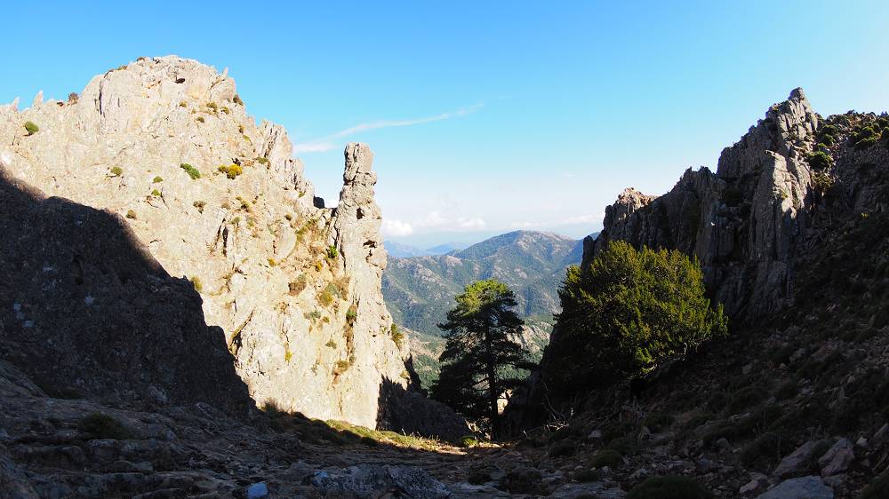 Foto: Datzi / Wandertour / In 17 Tage Korsika entdecken (Tour 5) Rundtour zum Capo D Ortu (1294m) und Capu Di U Vitullu (1331m) / Beim Ab und Anstieg zum Gipfel ein schönes Motiv / 03.08.2015 21:37:19