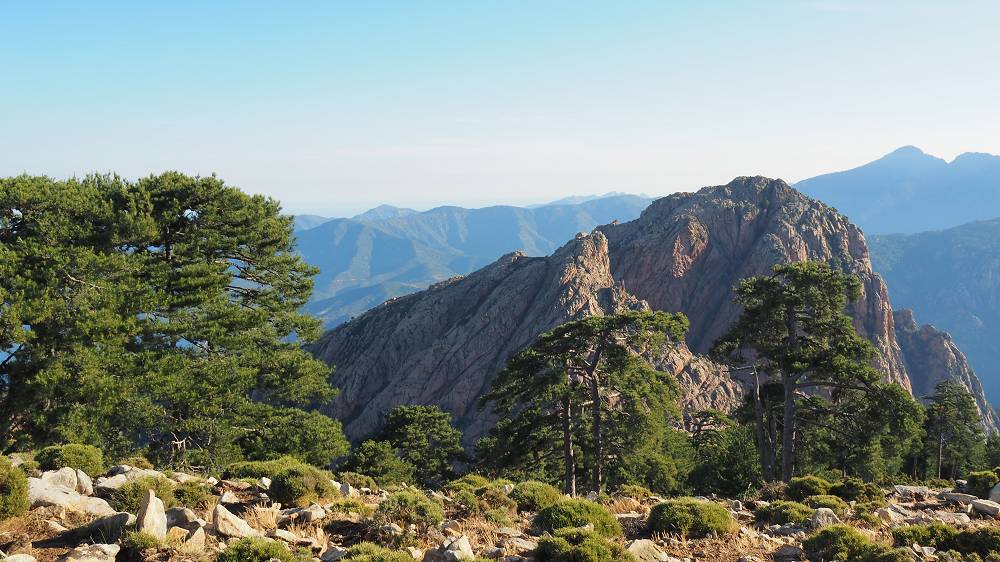 Foto: Datzi / Wandertour / In 17 Tage Korsika entdecken (Tour 5) Rundtour zum Capo D Ortu (1294m) und Capu Di U Vitullu (1331m) / Beim Absttieg vom Capu Di U Vitullu - Blick zum Capo D Ortu (mit den Schwarzkiefern) / 03.08.2015 21:42:21