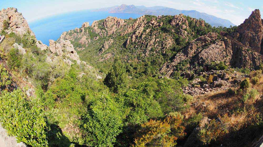 Foto: Datzi / Wandertour / In 17 Tage Korsika entdecken (Tour 5) Rundtour zum Capo D Ortu (1294m) und Capu Di U Vitullu (1331m) / Die vielbesuchte Küstenstraße in Korsika liegt zwischen Porto und dem Parkplatz vom Ausgangspunkt zum Capo D Ortu / 03.08.2015 21:43:01