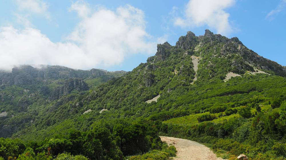 Foto: Datzi / Wandertour / In 17 Tagen Korsika entdecken (Tour 7) Wandertour zum Cima Di E Follicie (1322m) / Der Forstweg kann auch mit einen Jeep befahren werden / 04.08.2015 17:32:56