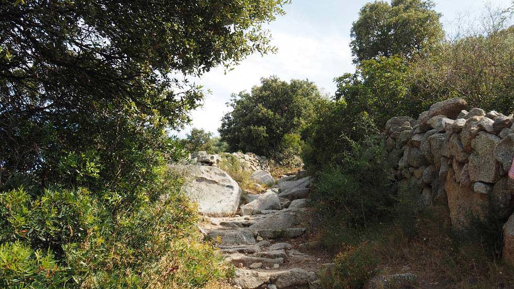 Foto: Datzi / Wandertour / Leichte Rundtour zu den verfallenen Bergdorf Occi und dessen Gipfel Capu D Occi / Ein schöner breiter Weg zum Bergdorf / 04.08.2015 20:26:28