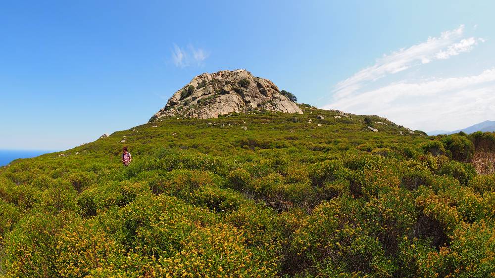 Foto: Datzi / Wandertour / Leichte Rundtour zu den verfallenen Bergdorf Occi und dessen Gipfel Capu D Occi / Der Abstieg vom Capu D Occi (Wir sind ein weinig zu weit nach Rechts gekommen. Also Vorsicht beim Abstieg, so wie immer zu viele Steinmanderl machen den Weg auch nicht immer übersichtlich / 04.08.2015 20:29:15