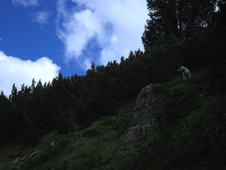 Foto: Andreas Koller / Wandertour / Über Imst auf den Tschirgant (2370m) / 06.08.2015 23:19:48