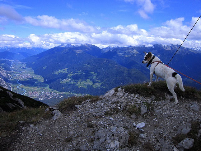 Foto: Andreas Koller / Wandertour / Über Imst auf den Tschirgant (2370m) / 06.08.2015 23:18:14