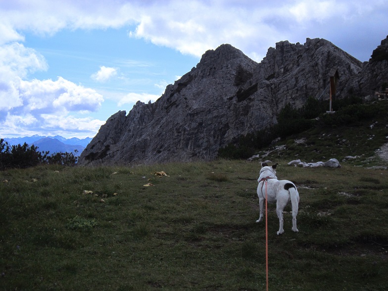 Foto: Andreas Koller / Wandertour / Über Imst auf den Tschirgant (2370m) / 06.08.2015 23:17:17
