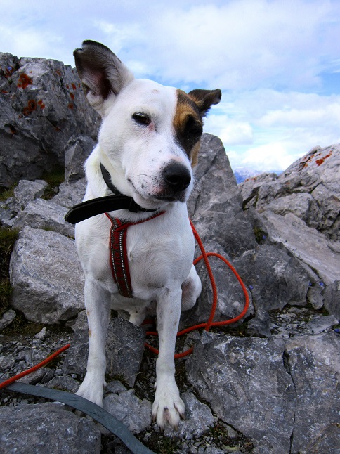 Foto: Andreas Koller / Wandertour / Über Imst auf den Tschirgant (2370m) / 06.08.2015 23:14:02