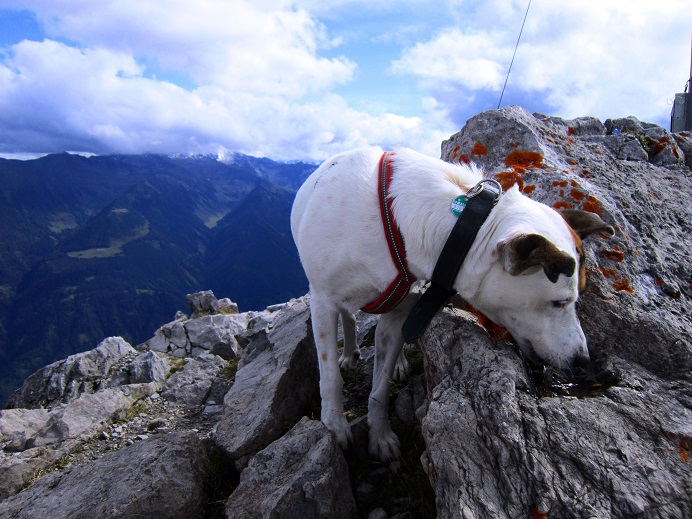 Foto: Andreas Koller / Wandertour / Über Imst auf den Tschirgant (2370m) / 06.08.2015 23:13:29