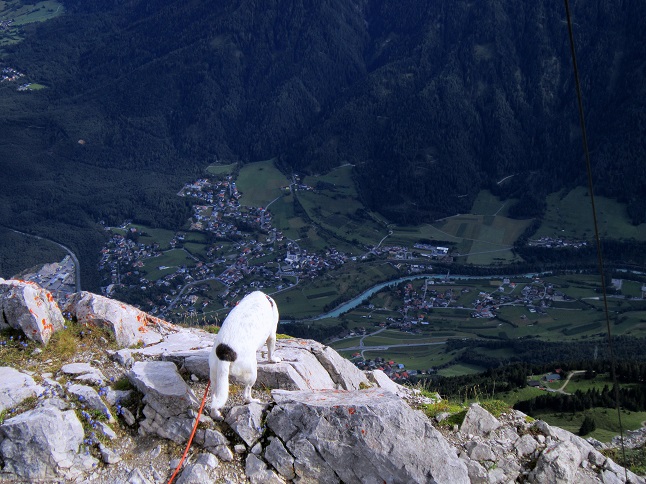 Foto: Andreas Koller / Wandertour / Über Imst auf den Tschirgant (2370m) / Tiefblicke ins Inntal / 06.08.2015 23:12:45
