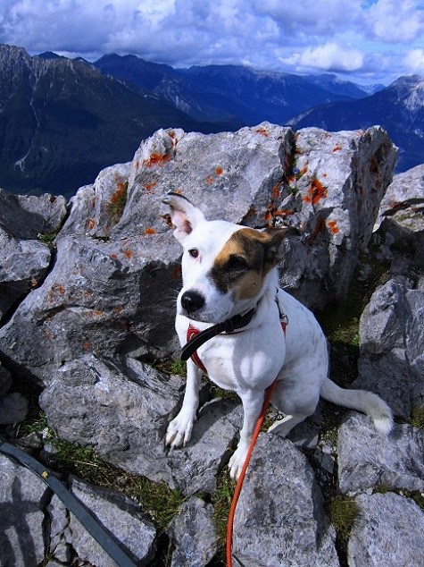 Foto: Andreas Koller / Wandertour / Über Imst auf den Tschirgant (2370m) / 06.08.2015 23:12:01
