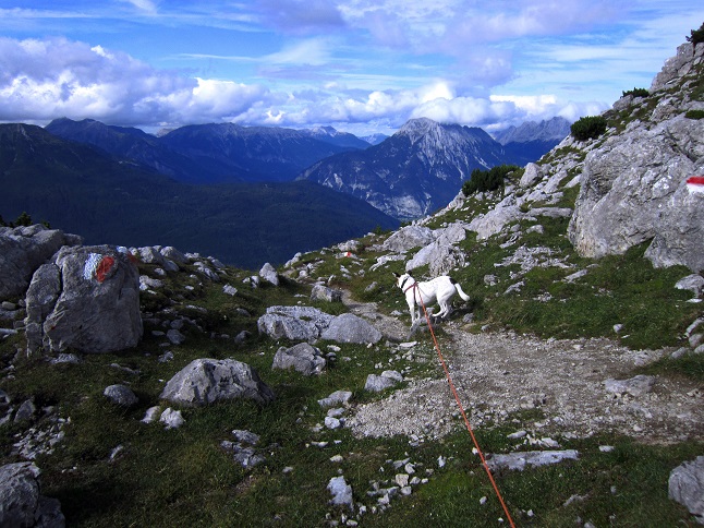 Foto: Andreas Koller / Wandertour / Über Imst auf den Tschirgant (2370m) / 06.08.2015 23:05:19