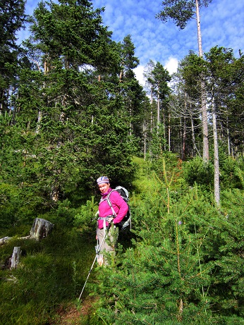 Foto: Andreas Koller / Wandertour / Über Imst auf den Tschirgant (2370m) / 06.08.2015 23:02:30