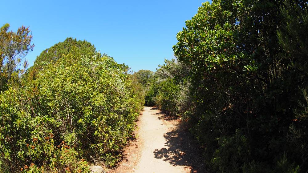 Foto: Datzi / Wandertour / Wanderung über eine Halbinsel zu einem Badestrand / Am Beginn ist der Weg breit / 10.08.2015 15:36:46