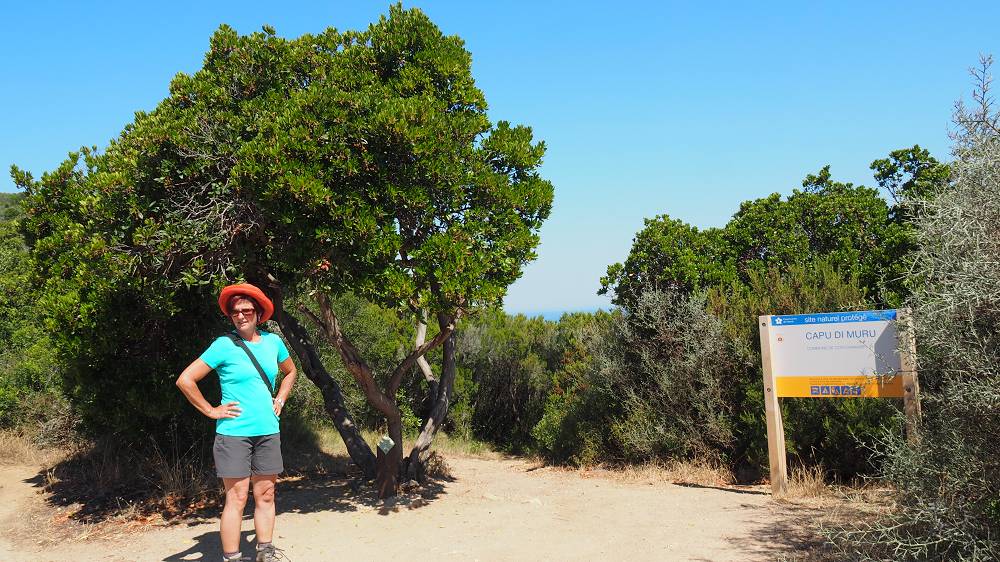Foto: Datzi / Wandertour / Wanderung über eine Halbinsel zu einem Badestrand / Die Wegkreuzung. entweder wir gehen den Steig bzw. die Straße (Der Steig ist schöner und schattiger) / 10.08.2015 15:37:04