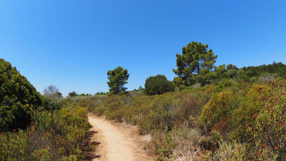 Foto: Datzi / Wandertour / Wanderung über eine Halbinsel zu einem Badestrand / Der Weg nach dem Aussichtsturm zum Badestrand (Küste) / 10.08.2015 15:39:39