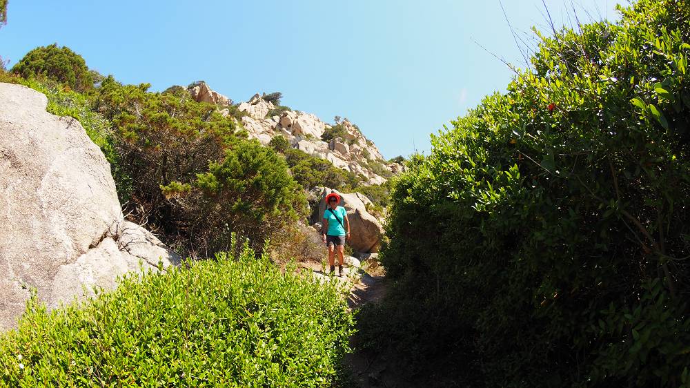 Foto: Datzi / Wandertour / Wanderung über eine Halbinsel zu einem Badestrand / Der Weg zur Küste / 10.08.2015 15:40:09