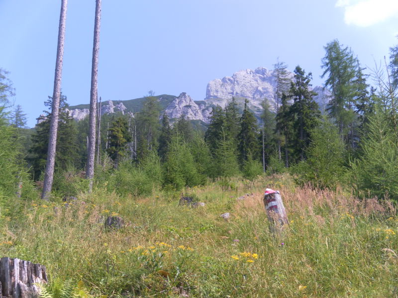 Foto: Wolfgang Lauschensky / Wandertour / Kleiner Buchstein 1990m Normalanstieg / Sparerriegel / 15.08.2015 12:40:47