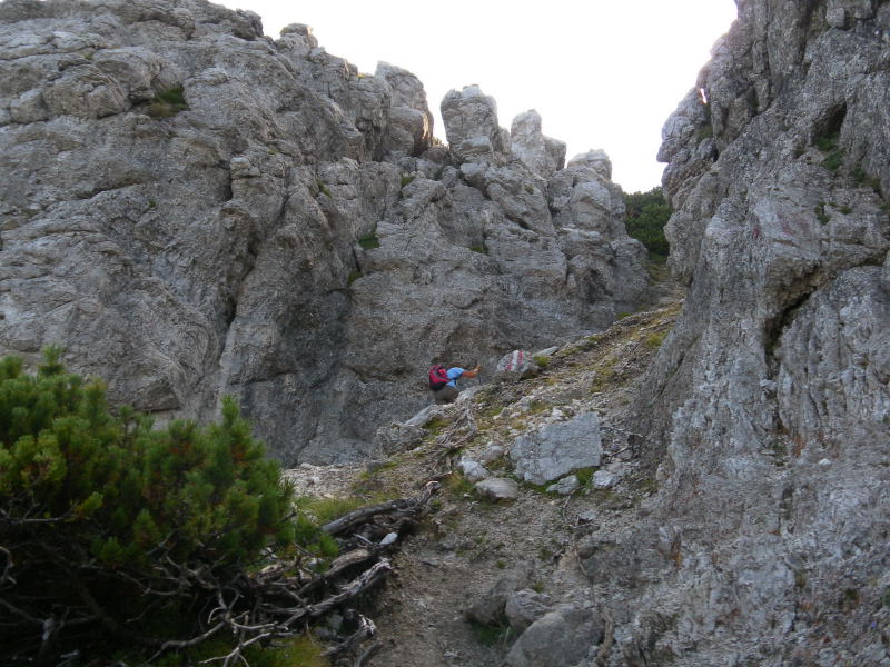 Foto: Wolfgang Lauschensky / Wandertour / Kleiner Buchstein 1990m Normalanstieg / Bröselsteig durch Schrofenrinne zur Nordschulter / 15.08.2015 12:40:33