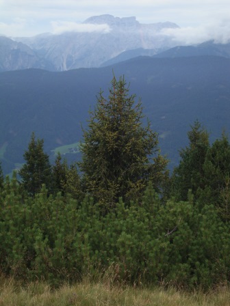 Foto: Wolfgang Dröthandl / Wandertour / Lutterkopf und Durakopf / Seekofel (Pragser Dolomiten) / 18.08.2015 20:53:42
