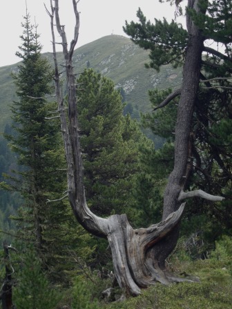 Foto: Wolfgang Dröthandl / Wandertour / Lutterkopf und Durakopf / Blick zum Durakopf / 18.08.2015 20:51:57