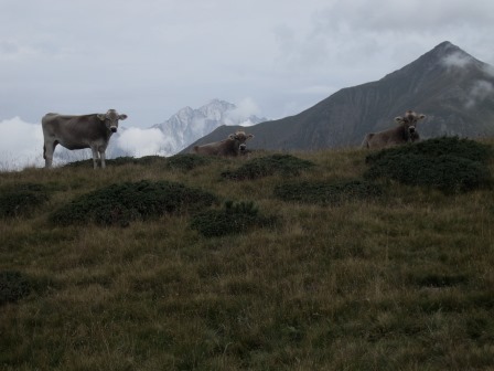 Foto: Wolfgang Dröthandl / Wandertour / Lutterkopf und Durakopf / Anstieg zum Durakopf - Blick nach Antholz, rechts Amperspitze / 18.08.2015 20:51:21