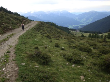 Foto: Wolfgang Dröthandl / Wandertour / Lutterkopf und Durakopf / Fahrweg vom Klenkboden zur Taistner Alm (rechts unten), im Hintergrund Kronplatz / 18.08.2015 20:45:50