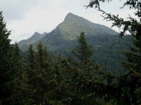 Foto: Wolfgang Dröthandl / Wandertour / Lutterkopf und Durakopf / Rückblick auf das Rudlhorn vom Abstieg von der Taistner Alm / 18.08.2015 20:42:30