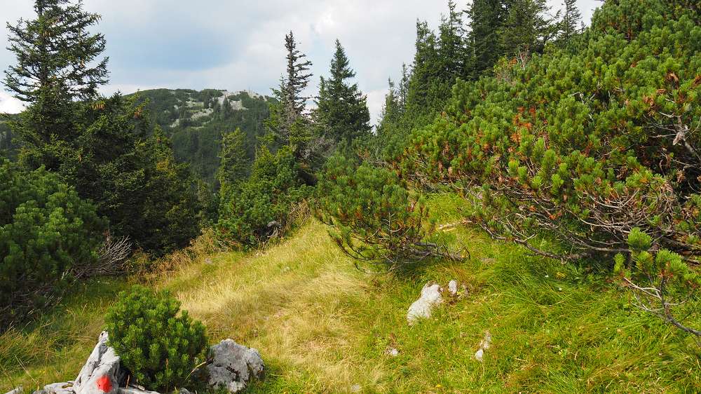 Foto: Datzi / Wandertour / Rundtour mit Überschreitung vom (Gr.) Geiger (1723m) zum Buchberg (1563m) / Am Kl. Geiger - bevor wir zum Gipfel kommen steigen wir wieder ab. Im Hintergrund schon der Gr. Geiger / 04.10.2015 08:41:25