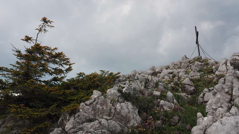 Foto: Datzi / Wandertour / Rundtour mit Überschreitung vom (Gr.) Geiger (1723m) zum Buchberg (1563m) / Der 1. Blick zum Gipfelkreuz / 04.10.2015 08:41:14