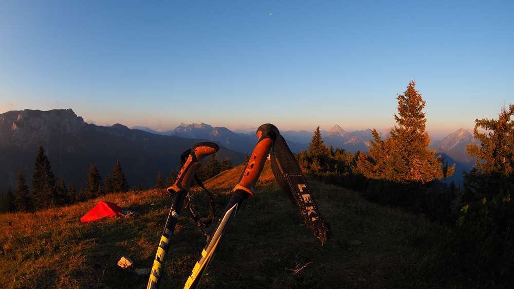 Foto: Datzi / Wandertour / Rundtour mit Überschreitung vom (Gr.) Geiger (1723m) zum Buchberg (1563m) / Die Kühe sind nur Neugierung. Sogar meine Wanderstöcke haben sie bearbeitet. Von den Schlaufen hängten nur mehr die Fetzen weg. Sie besuchten mich während meines Biwaks am Gipfel / 04.10.2015 08:43:47