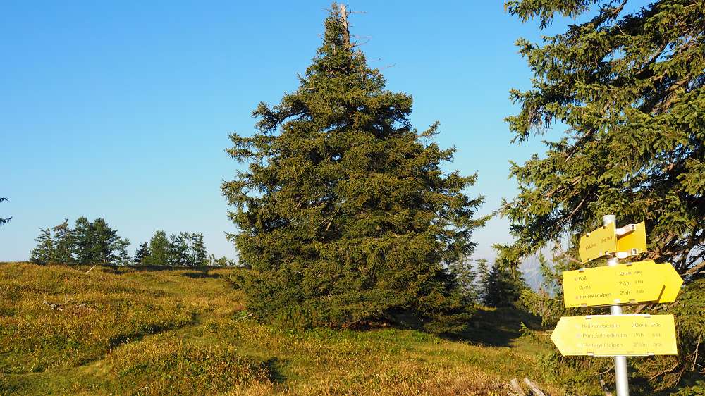 Foto: Datzi / Wandertour / Rundtour mit Überschreitung vom (Gr.) Geiger (1723m) zum Buchberg (1563m) / Der Abstieg zur Gögalalm / 04.10.2015 08:37:13