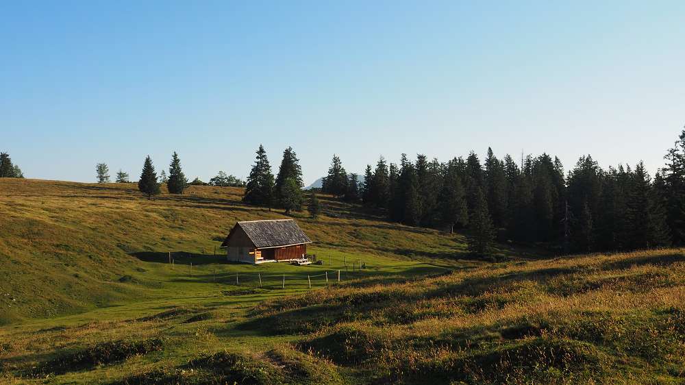 Foto: Datzi / Wandertour / Rundtour mit Überschreitung vom (Gr.) Geiger (1723m) zum Buchberg (1563m) / Die Gögalalm / 04.10.2015 08:37:06