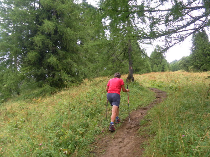 Foto: Wolfgang Lauschensky / Wandertour / Cima Coldai 2403m / einfacher Waldsteig von Pecol / 27.08.2015 14:34:07