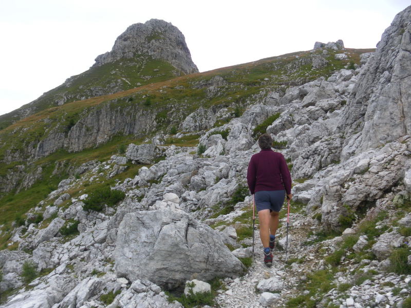 Foto: Wolfgang Lauschensky / Wandertour / Cima Coldai 2403m / Cima Coldai hinter Wiesenhang / 27.08.2015 14:31:04