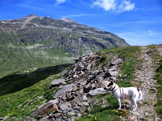 Foto: Andreas Koller / Wandertour / Panoramatour auf den Piz Lagalb (2959m) / 05.09.2015 18:09:12