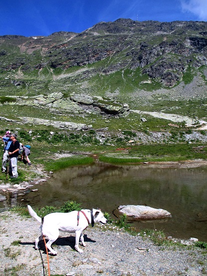 Foto: Andreas Koller / Wandertour / Panoramatour auf den Piz Lagalb (2959m) / 05.09.2015 18:09:05